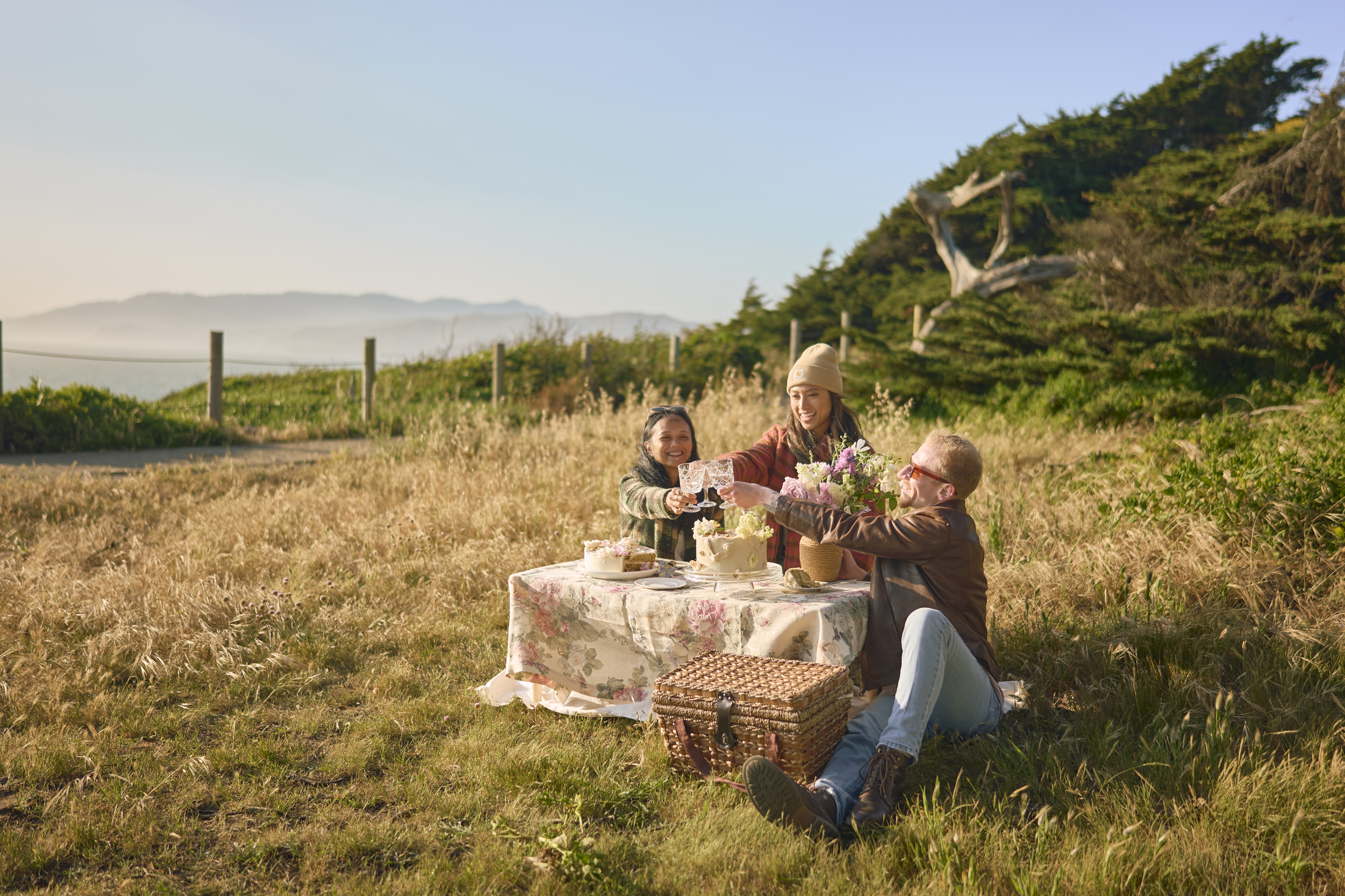 Cake Picnic Atmospheric