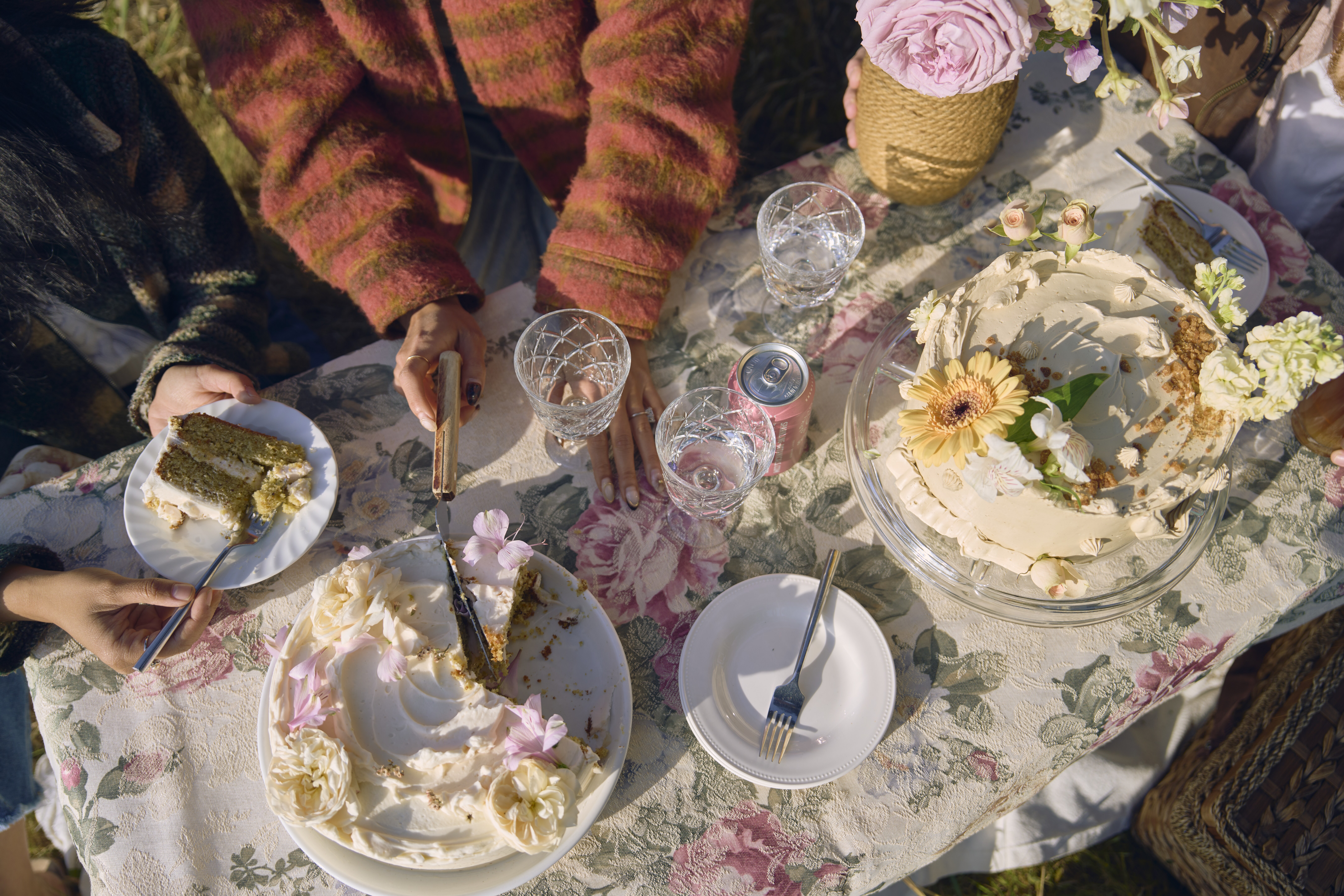 Cake Picnic Atmospheric