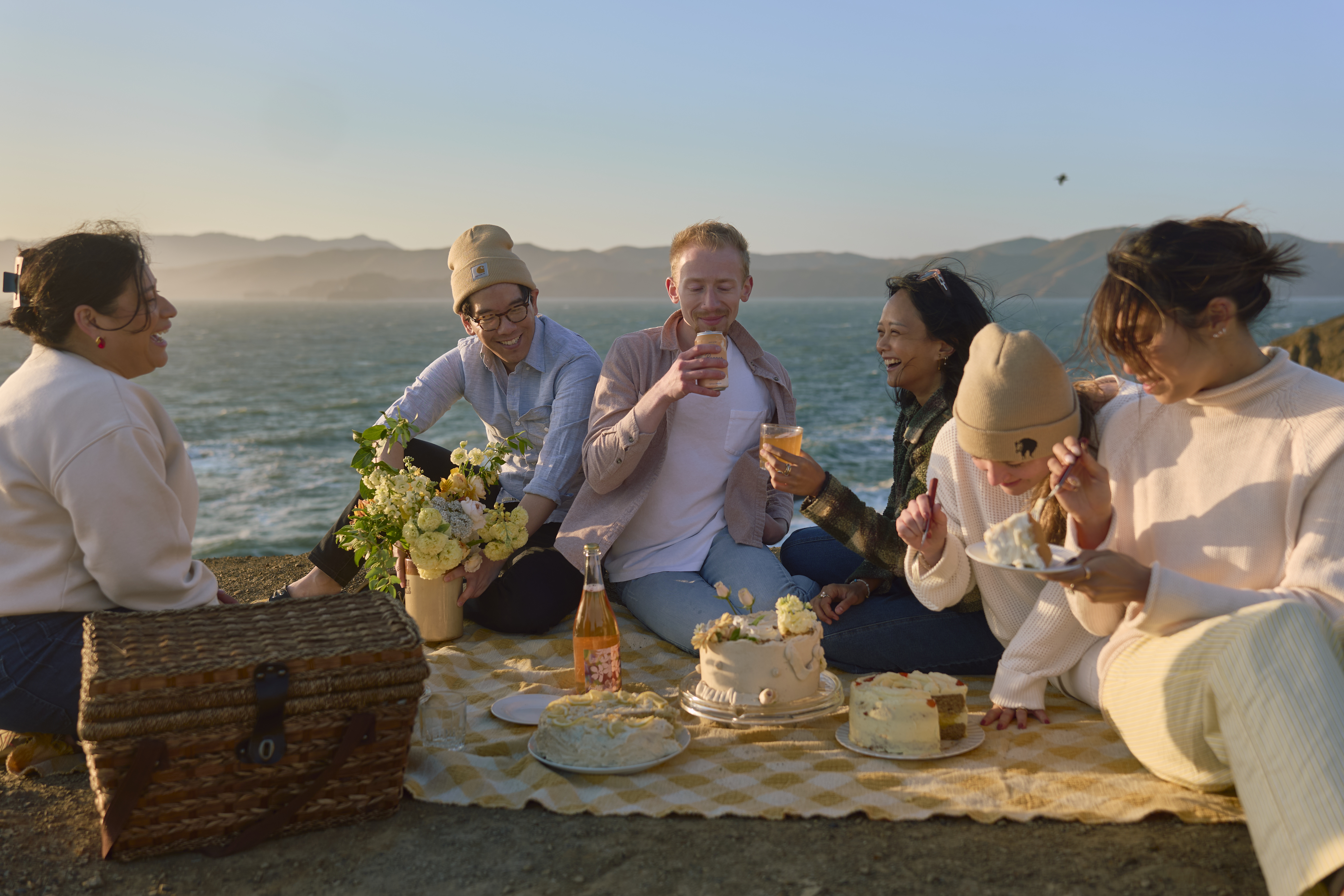 Cake Picnic Atmospheric