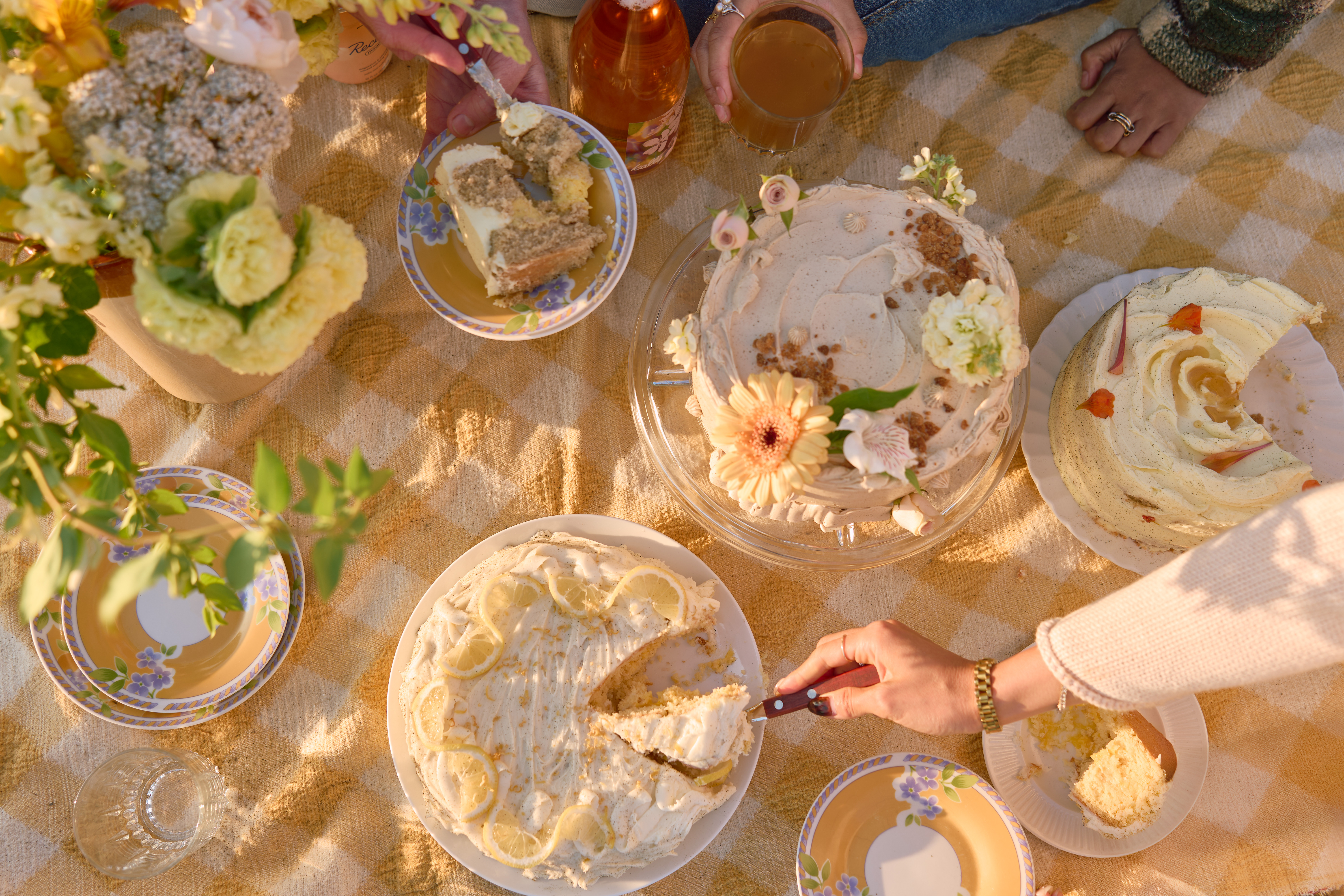 Cake Picnic Atmospheric