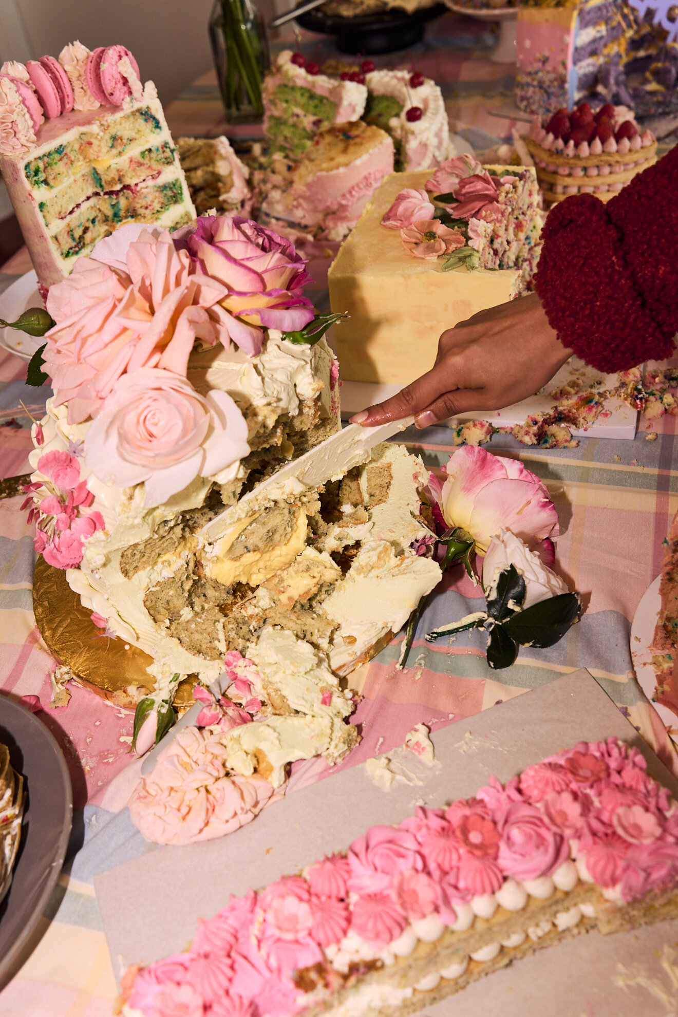 CakePicnicOneYear537