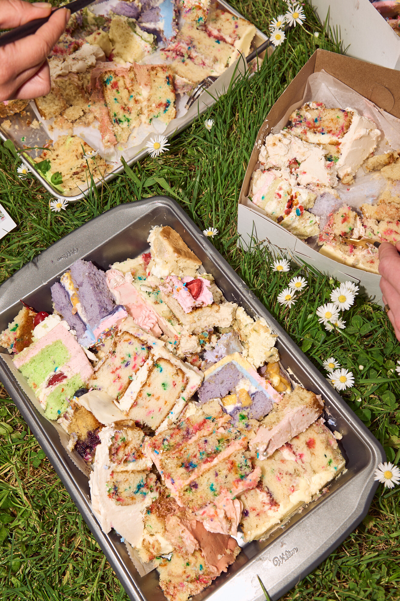 CakePicnicOneYear571