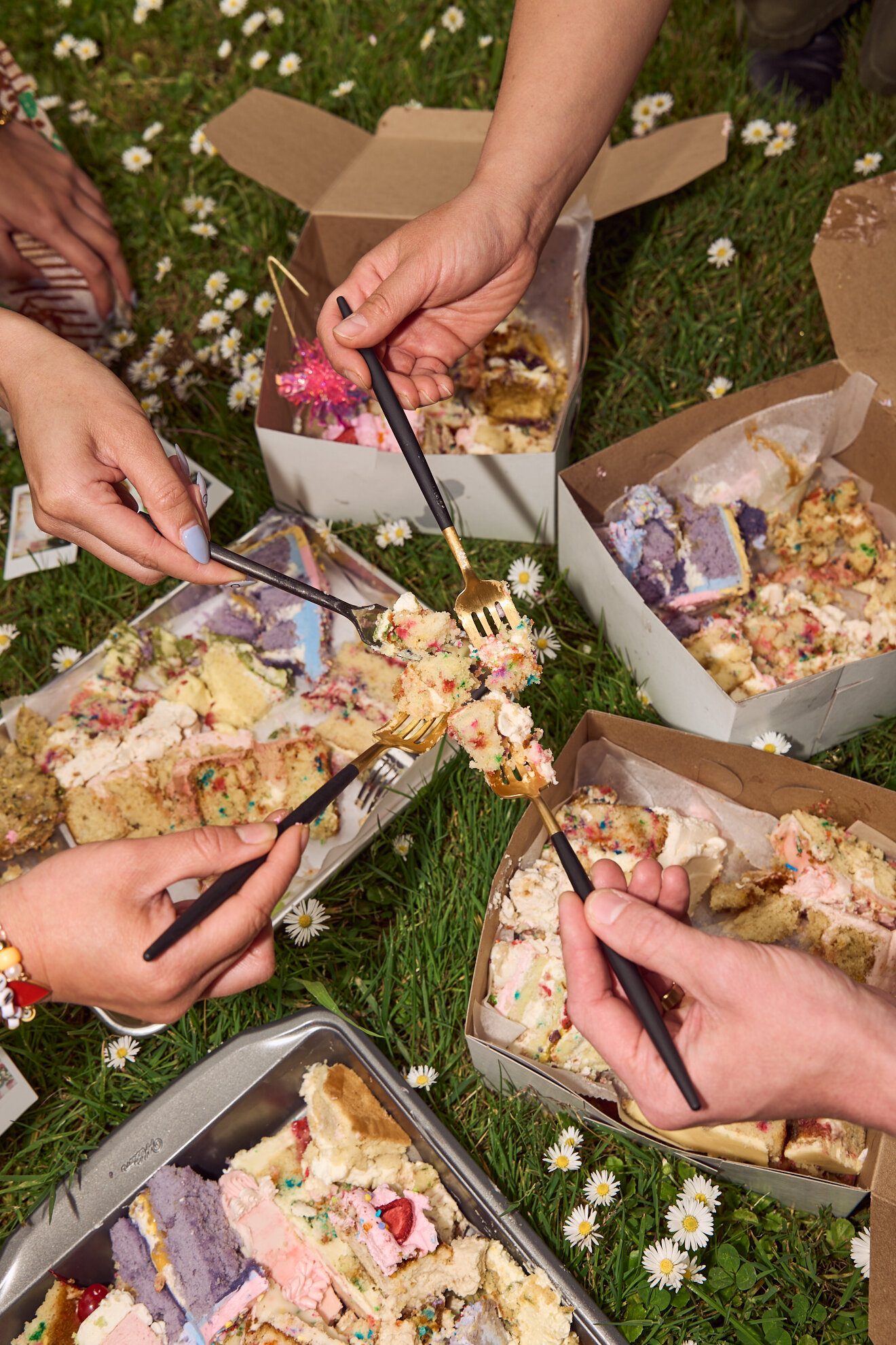 CakePicnicOneYear572