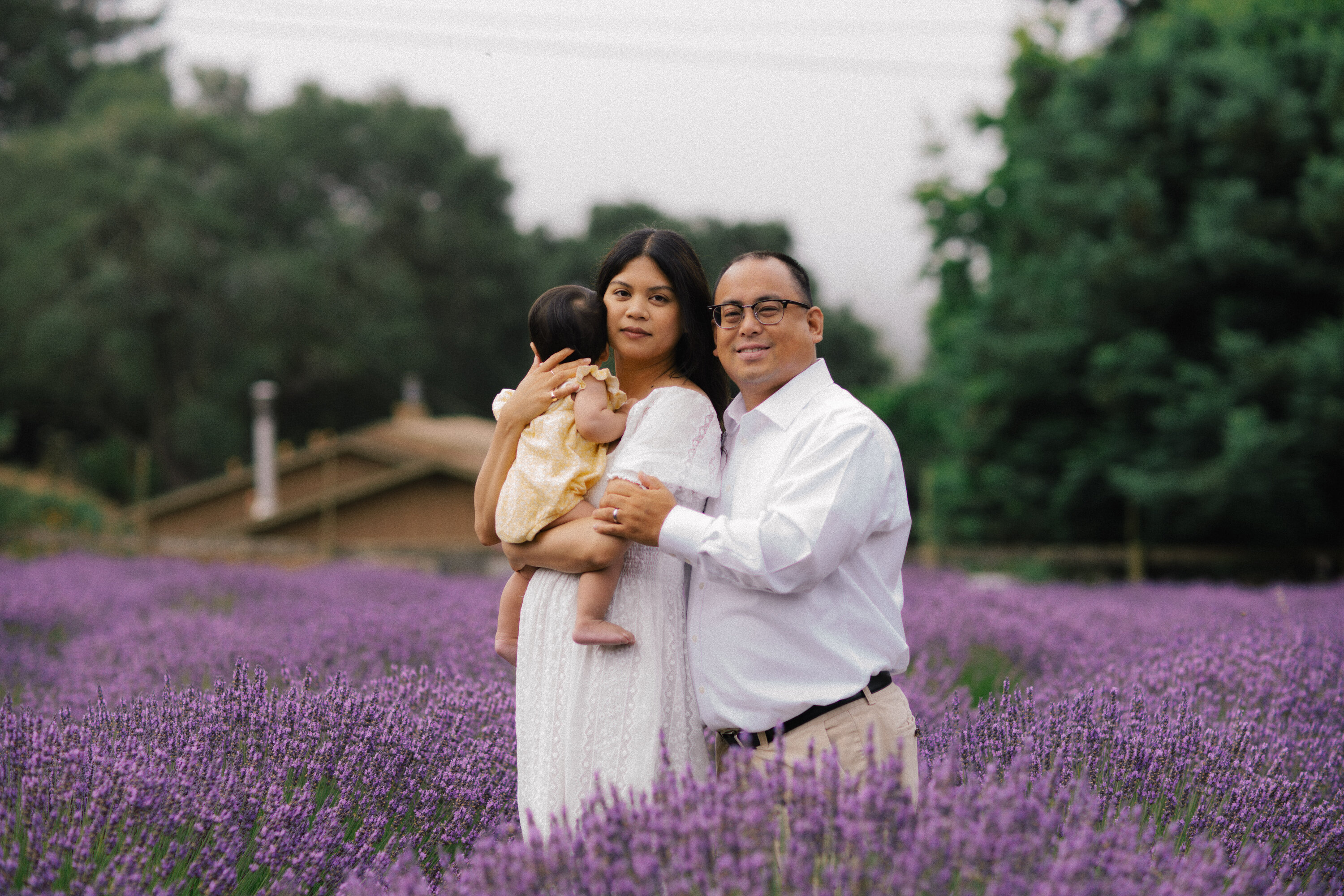 GogoCruzInLavender 141